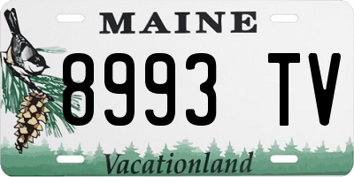 ME license plate 8993TV