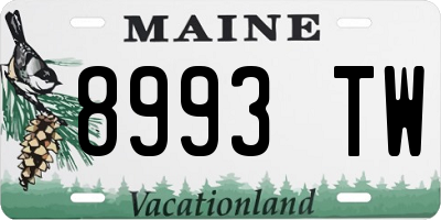 ME license plate 8993TW