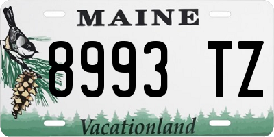 ME license plate 8993TZ