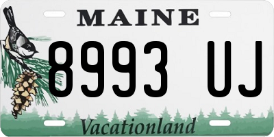 ME license plate 8993UJ
