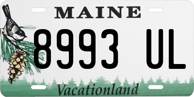 ME license plate 8993UL