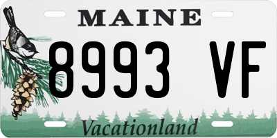 ME license plate 8993VF