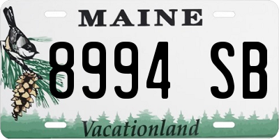 ME license plate 8994SB