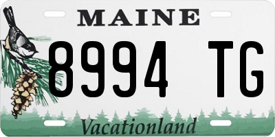 ME license plate 8994TG