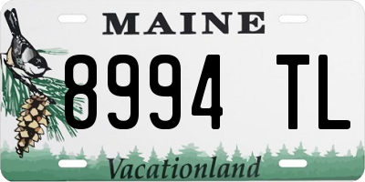 ME license plate 8994TL