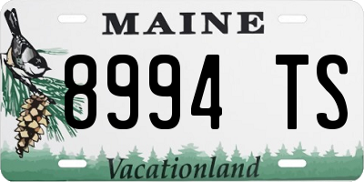 ME license plate 8994TS