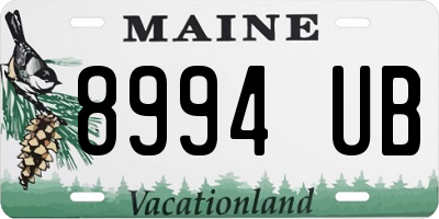 ME license plate 8994UB