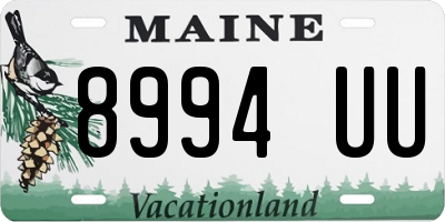 ME license plate 8994UU