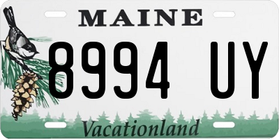 ME license plate 8994UY