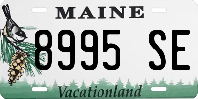 ME license plate 8995SE