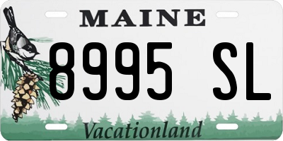 ME license plate 8995SL