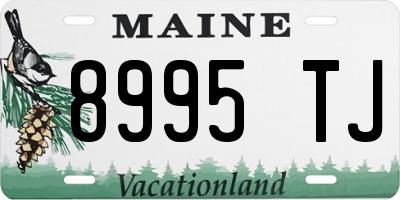ME license plate 8995TJ