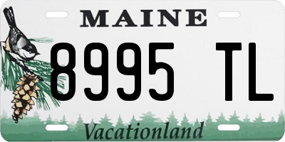 ME license plate 8995TL