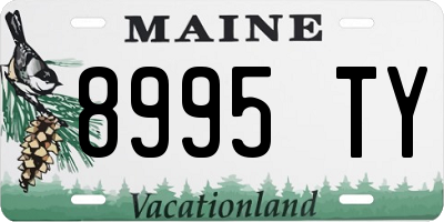 ME license plate 8995TY