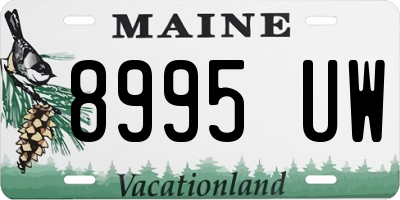ME license plate 8995UW