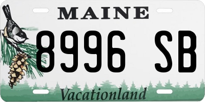 ME license plate 8996SB