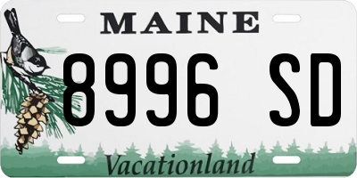 ME license plate 8996SD
