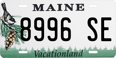 ME license plate 8996SE