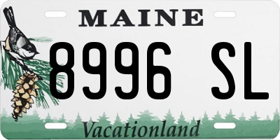 ME license plate 8996SL