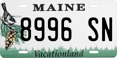 ME license plate 8996SN