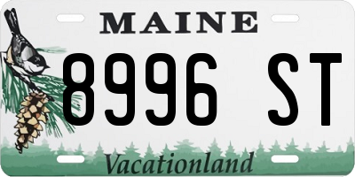ME license plate 8996ST