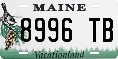 ME license plate 8996TB