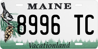 ME license plate 8996TC