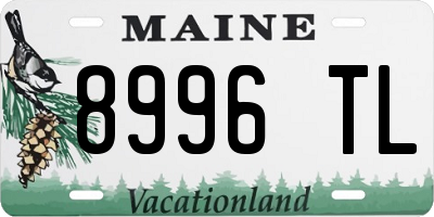 ME license plate 8996TL
