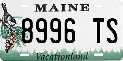 ME license plate 8996TS