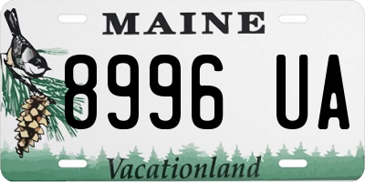 ME license plate 8996UA