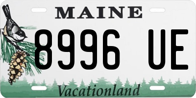 ME license plate 8996UE