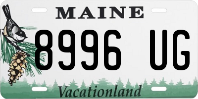 ME license plate 8996UG