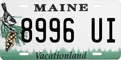 ME license plate 8996UI