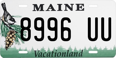 ME license plate 8996UU