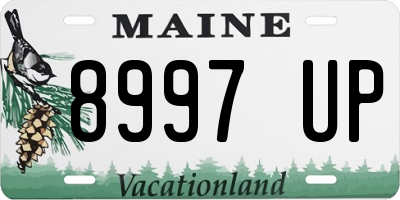 ME license plate 8997UP