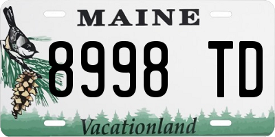 ME license plate 8998TD