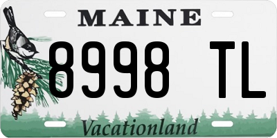 ME license plate 8998TL