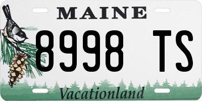 ME license plate 8998TS