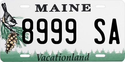 ME license plate 8999SA