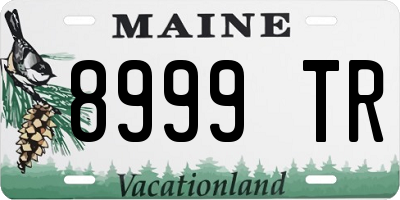ME license plate 8999TR