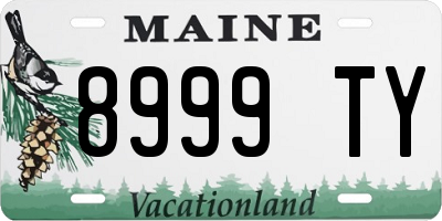 ME license plate 8999TY