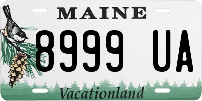 ME license plate 8999UA