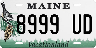 ME license plate 8999UD