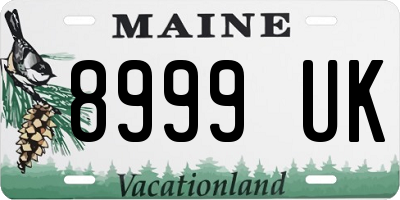 ME license plate 8999UK