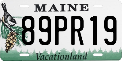 ME license plate 89PR19