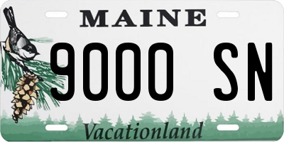 ME license plate 9000SN