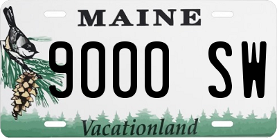 ME license plate 9000SW
