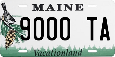 ME license plate 9000TA