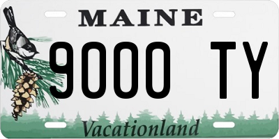 ME license plate 9000TY
