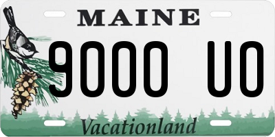 ME license plate 9000UO